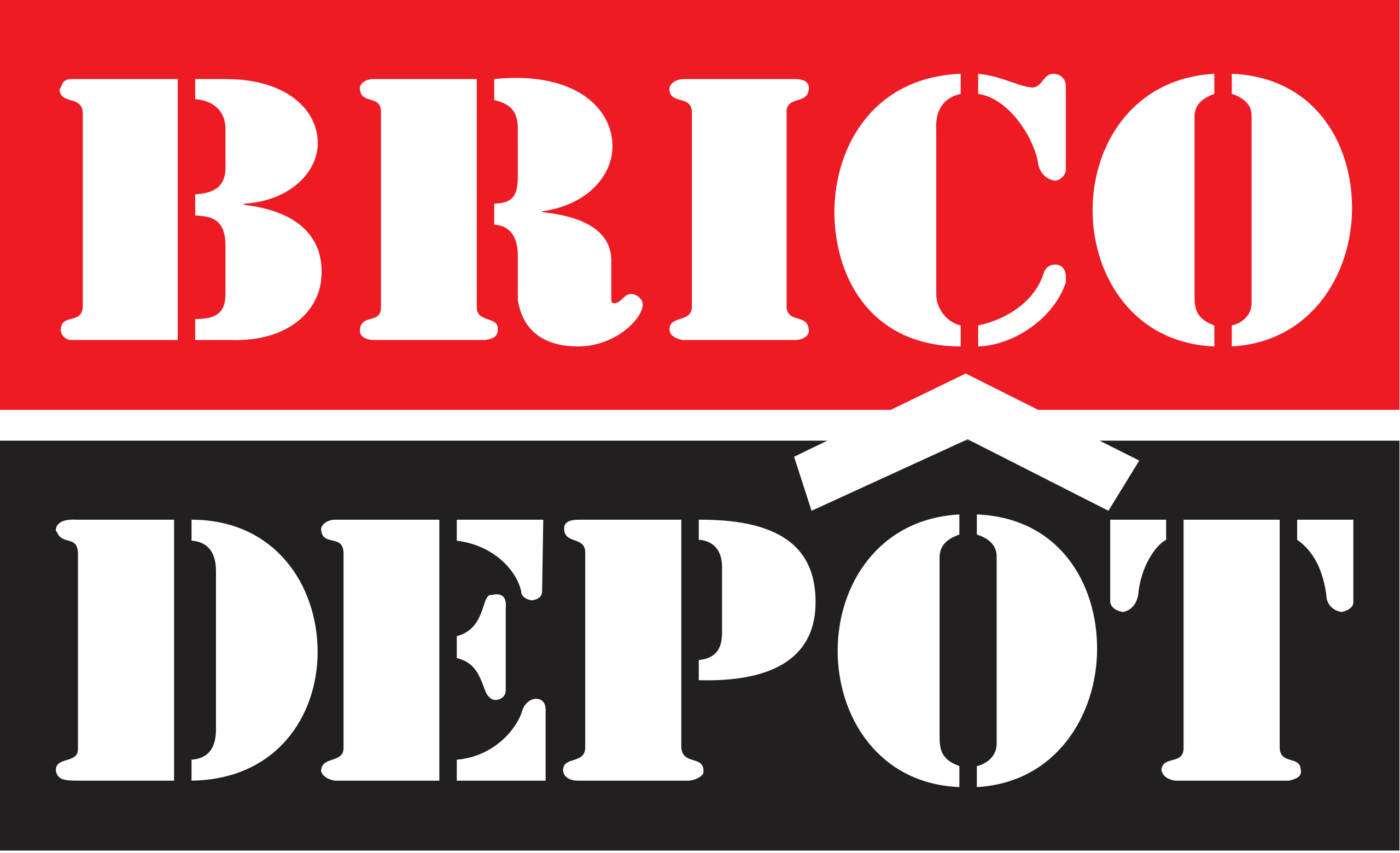 Brico depot logo